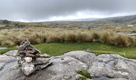 #Experiencia: Trekking en Los Gigantes